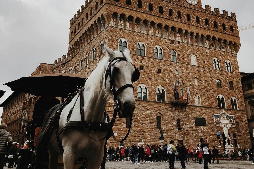 Piazze, Botteghe e Maestri del Rinascimento